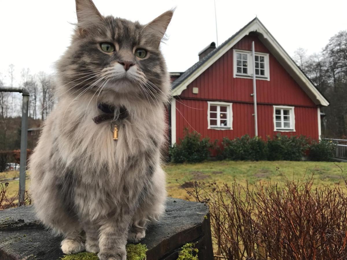 Ullstorps Stugor Höör Exteriér fotografie