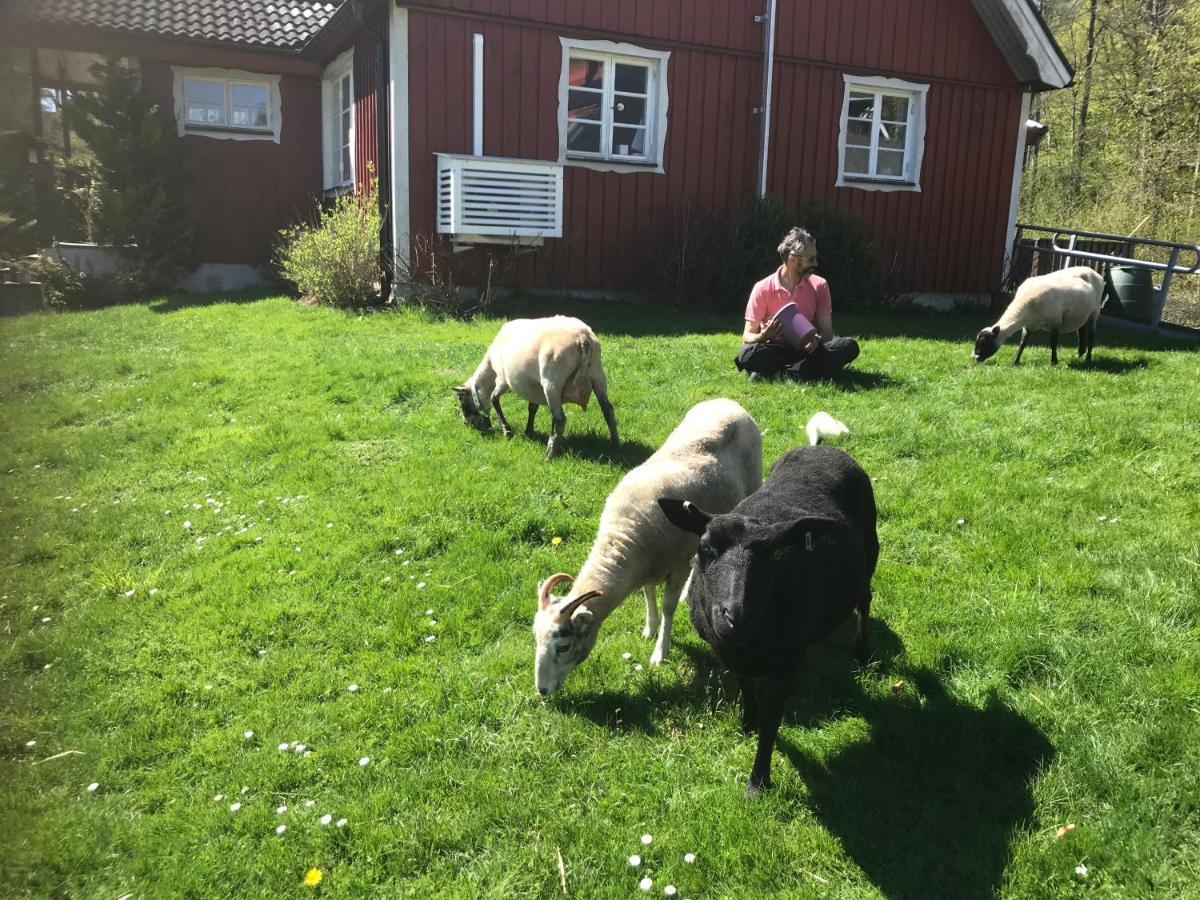 Ullstorps Stugor Höör Exteriér fotografie